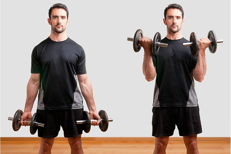 Bài tập Dumbbell Bicep Curl giúp bạn phát triển cơ bắp tay trước cực tốt