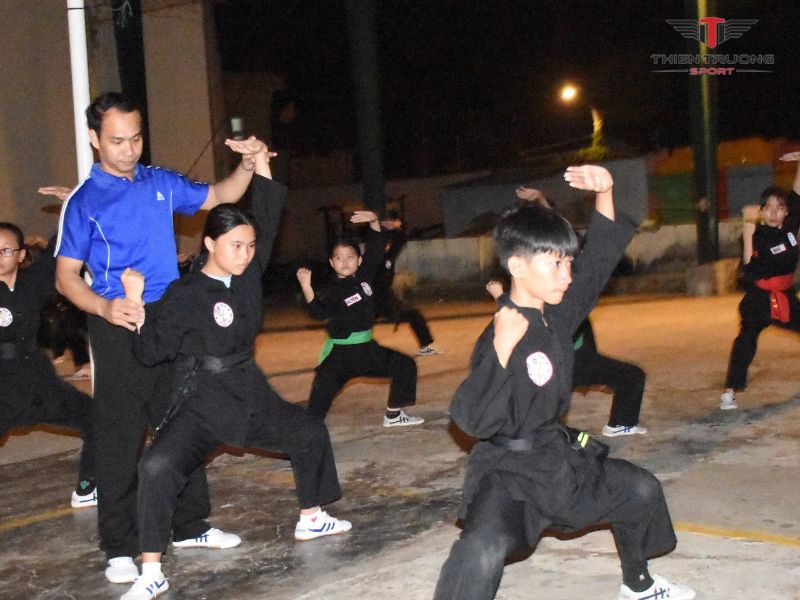 Võ cổ truyền Việt Nam
