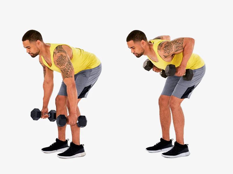 Bài tập Bent Over Dumbbell Rows