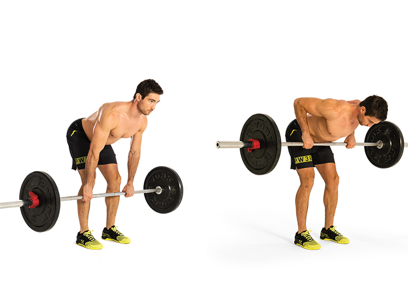 Bài tập Reverse Grip Bent – Over row

