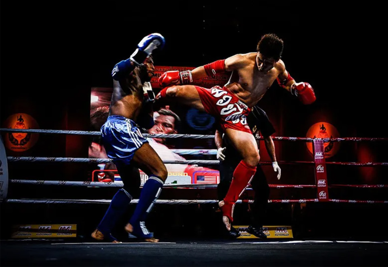 Võ sĩ thi đấu boxing 