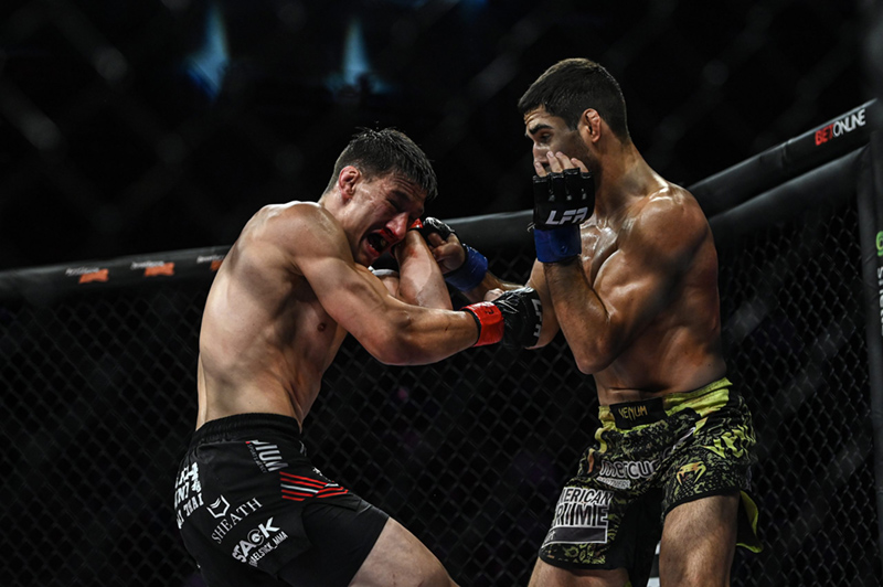 MMA có nhiều hạng cân khác nhau 