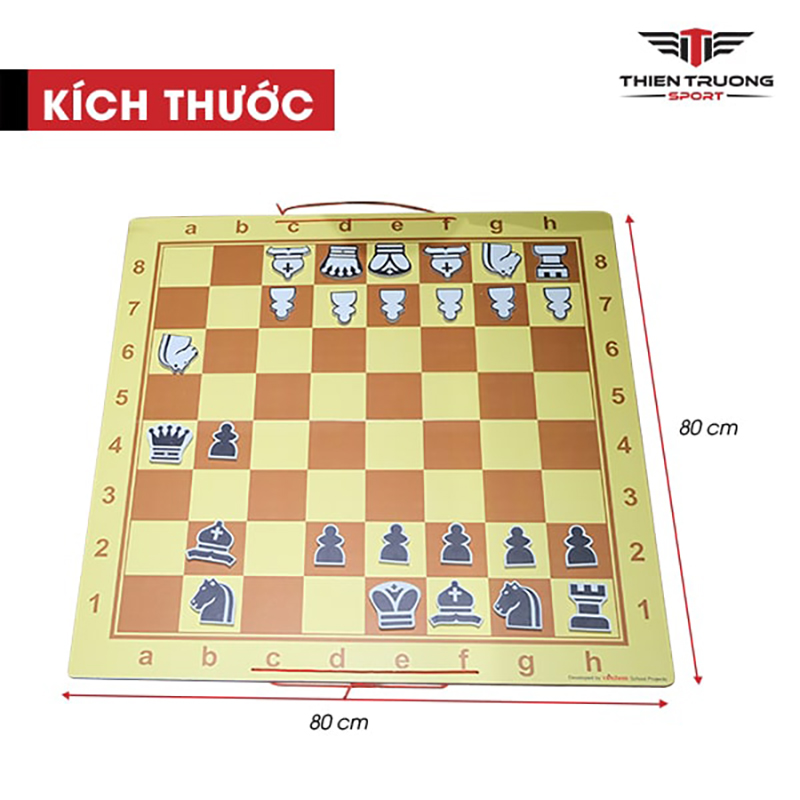 Kích thước bộ cờ vua giảng dạy