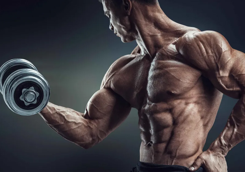 Tập Biceps Curl 

