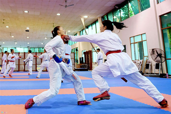 Môn võ Karatedo 