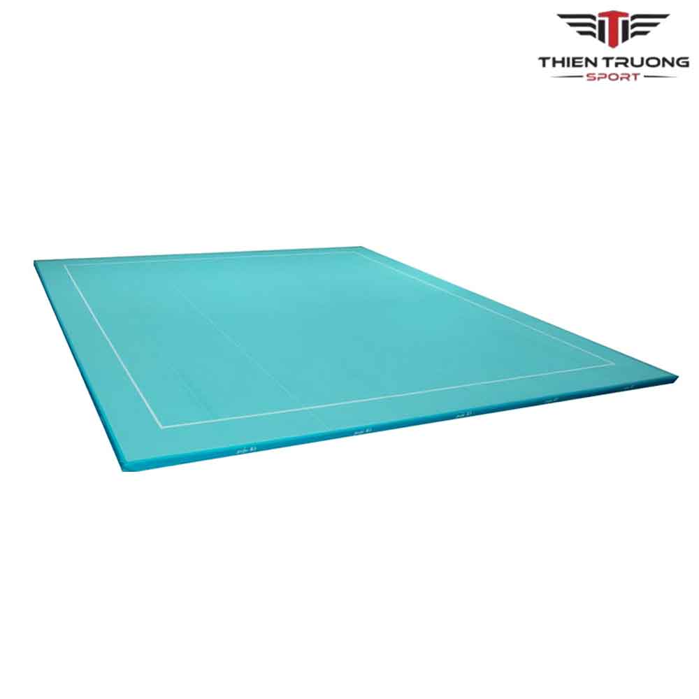 Sàn thi đấu thể dục tự do Model 1017-1