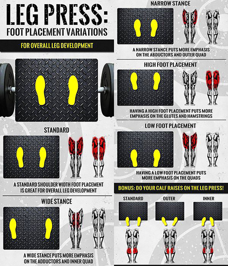 Leg Press là gì? Hướng dẫn tập Leg Press đạt kết quả tốt nhất 3 Vị trí đặt chân khi tập Leg Press