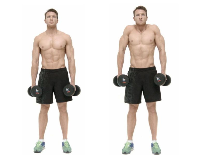 Barbell Shrug là gì? Cách tập phát triển cầu vai tốt cho Gymer? 5 Bài tập Dumbbell Shrug