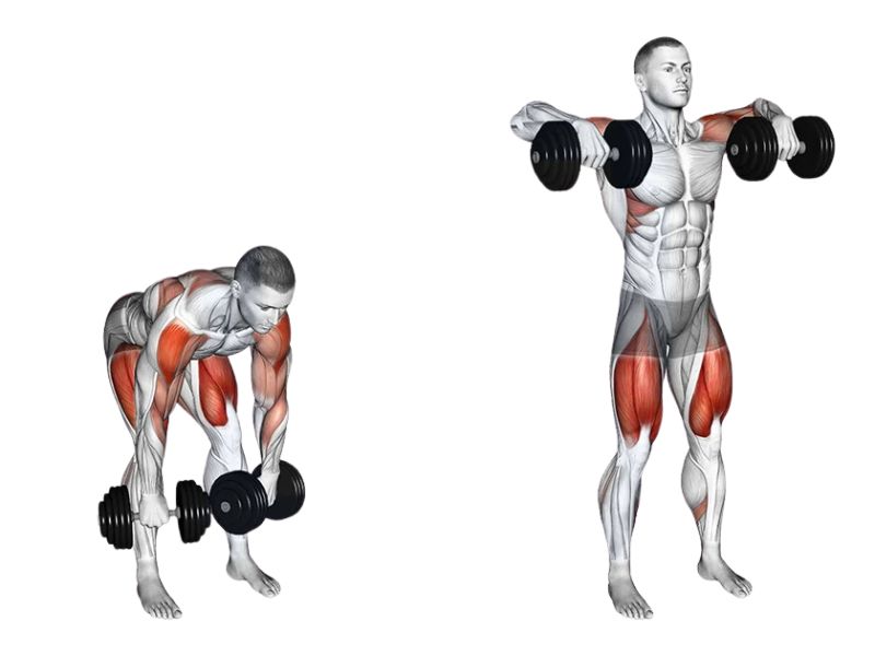 Barbell Shrug là gì? Cách tập phát triển cầu vai tốt cho Gymer? 8 Động tác Dumbbell High Pull
