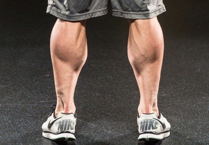 Calves là gì? Bí quyết phát triển bắp chân hiệu quả cho Gymer 1 Nhóm cơ Calves là gì?
