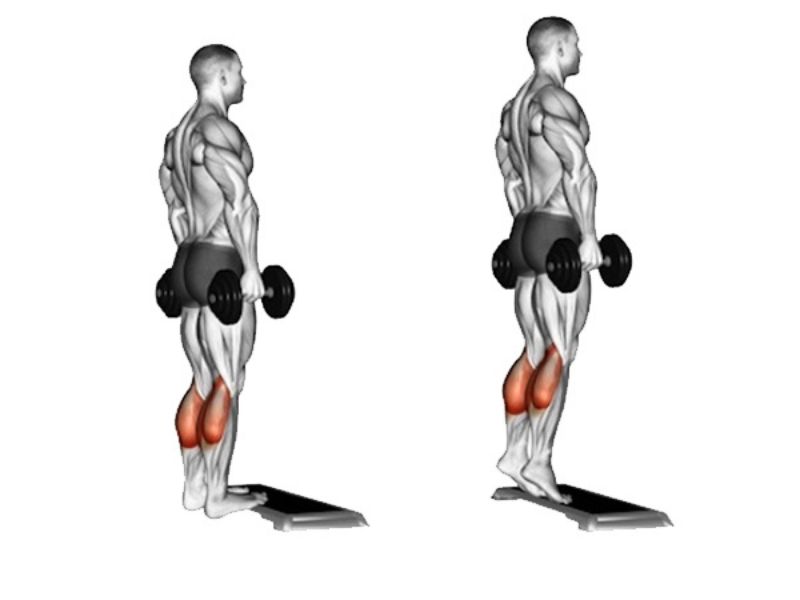 Calves là gì? Bí quyết phát triển bắp chân hiệu quả cho Gymer 3 Bài tập Calf Raises