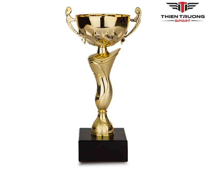 Cúp lưu niệm MLG0005 2 Hình ảnh cúp lưu niệm MLG0005