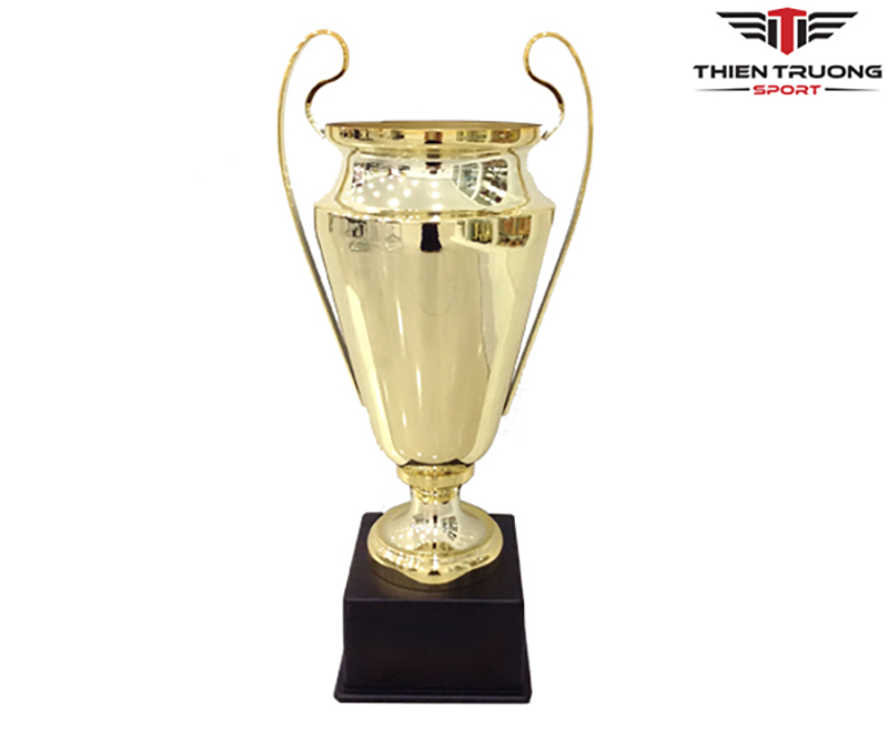 Cúp thể thao 9V1125 2 Hình ảnh cúp thể thao 9V1125