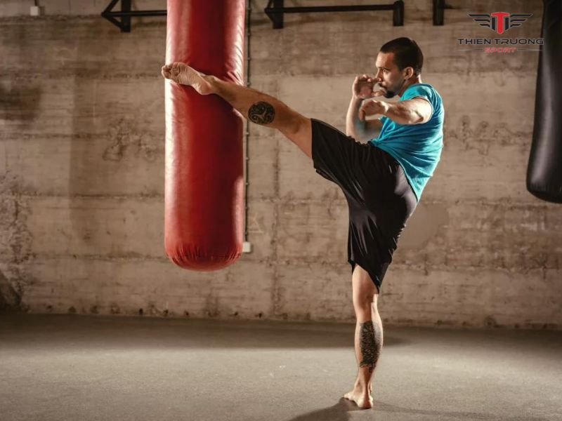 Kỹ thuật và chiến thuật kickboxing đạt chuẩn