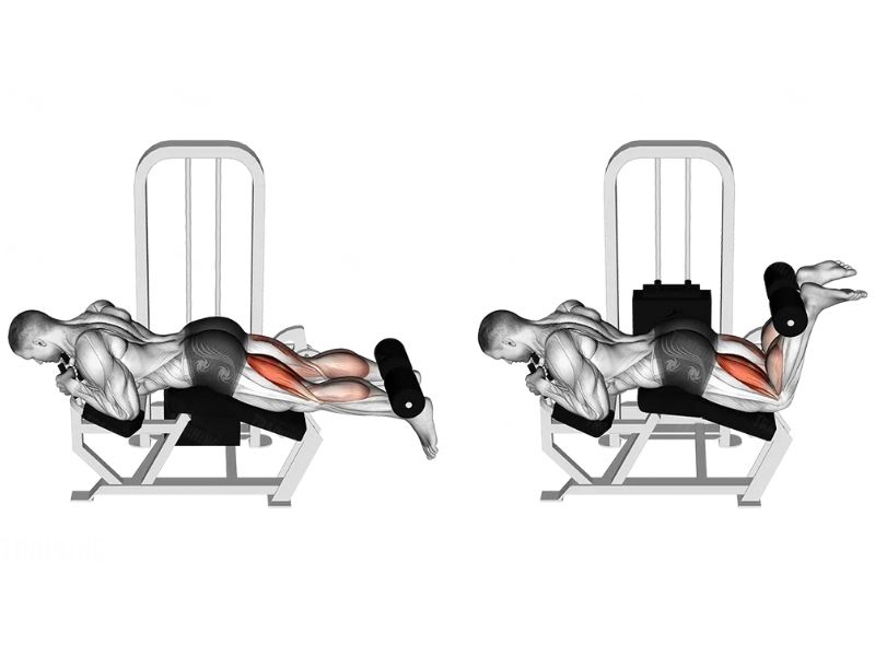 Leg Curl là gì? Các bài tập Leg Curl đúng cách, hiệu quả nhất 3 Bài tập Lying Leg Curl
