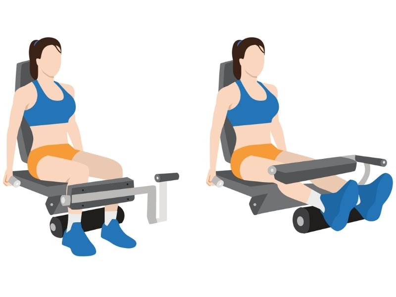 Leg Curl là gì? Các bài tập Leg Curl đúng cách, hiệu quả nhất 4 bài tập Seated Leg Curl