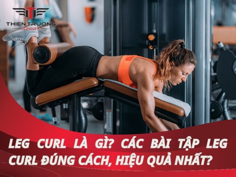 Leg Curl