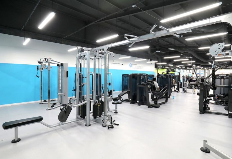 The New Gym