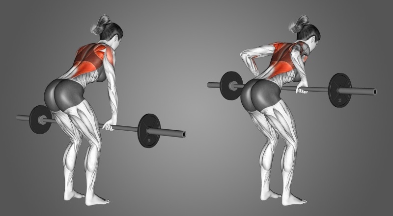 Bài tập Bent Over Barbell Row