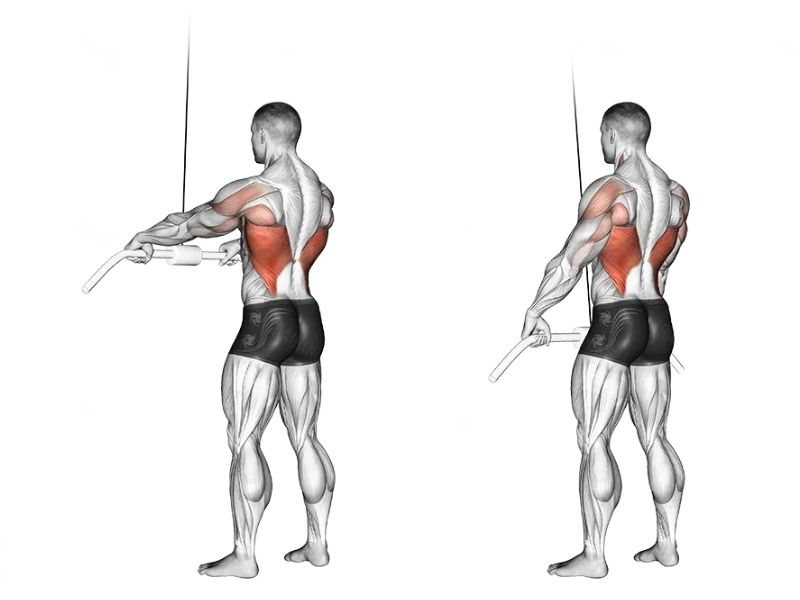Hướng dẫn tập Straight Arm Pulldown đúng cách