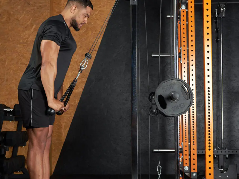 Triceps là gì