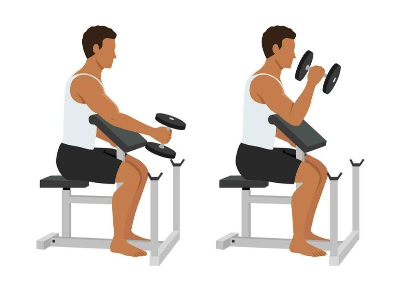 Dumbbell Hammer Preacher Curl