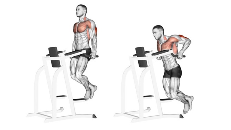 Bài tập Parallel Bar Dip