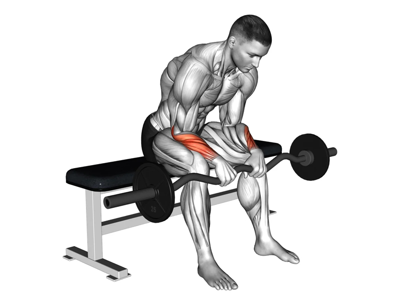Bài tập Reverse Wrist Curls