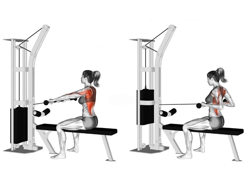 Bài tập Seated Cable Rows 