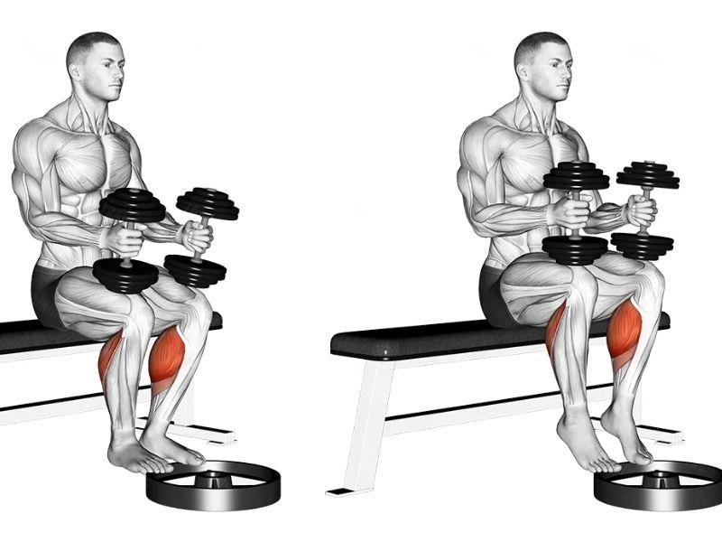 Các bài tập cơ bắp chuối hiệu quả tốt nhất cho Gymer
