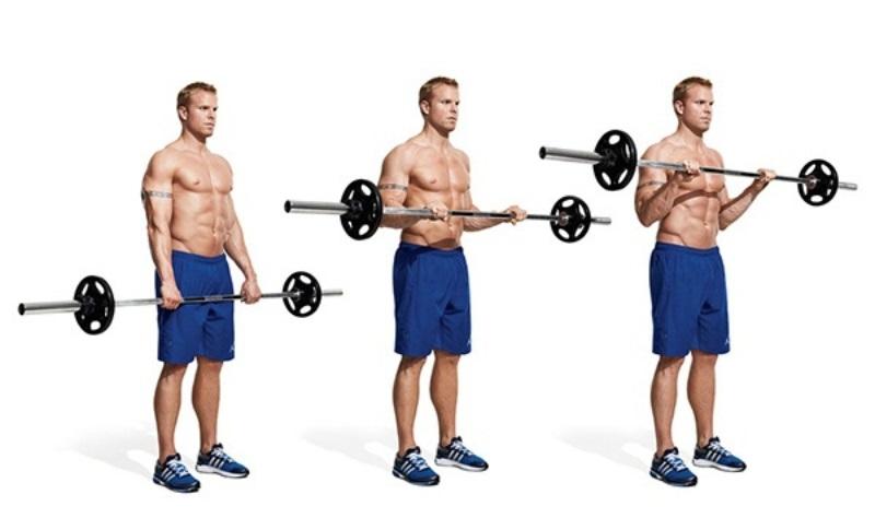 Bài tập Reverse Barbell Curl