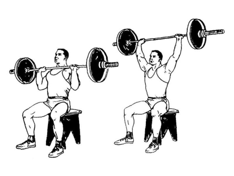 Các bài tập cầu vai tại nhà hiệu quả nhất dành cho dân tập Gym 12 Bài tập ngồi đẩy vai nâng tạ