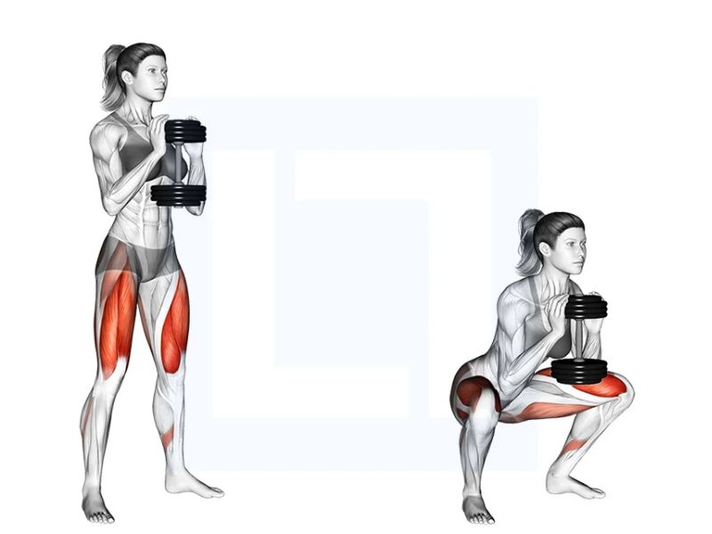 Bài tập Goblet Squat 
