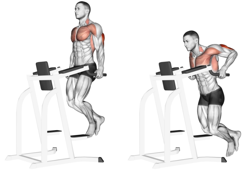 Bài tập Renegade Row with Push Up