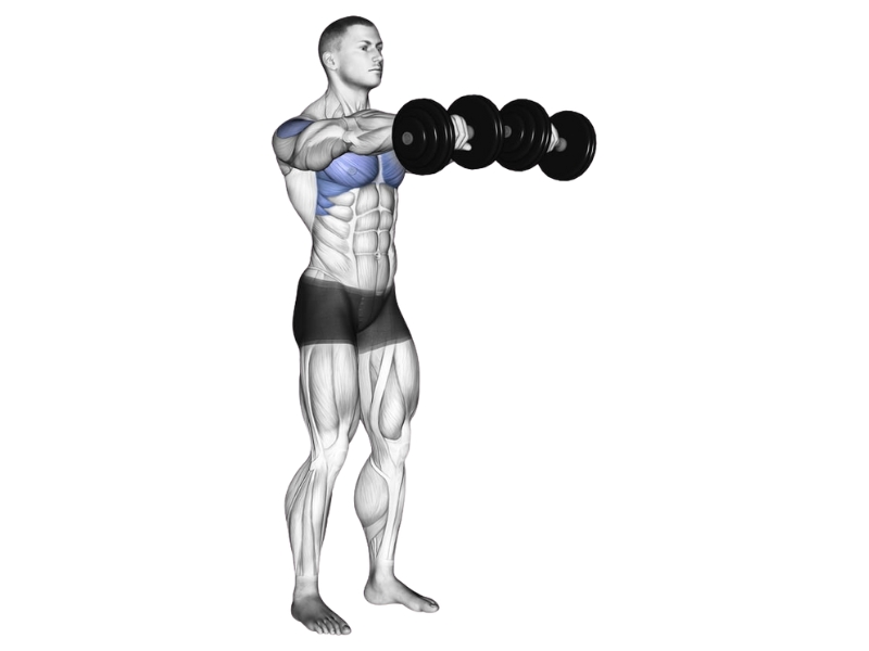Bài tập Chest Dip