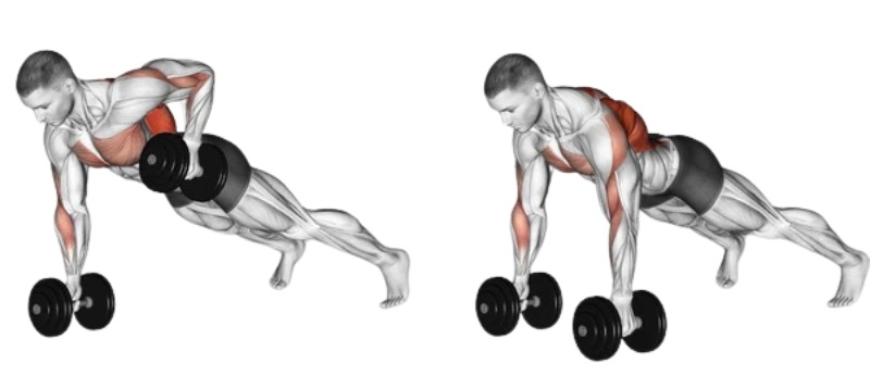 Bài tập Dumbbell Front Raise