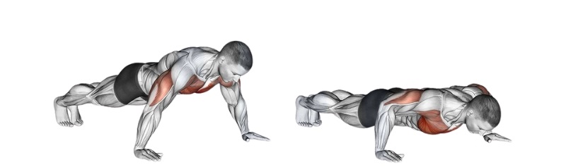 Bài tập Wide Push Up