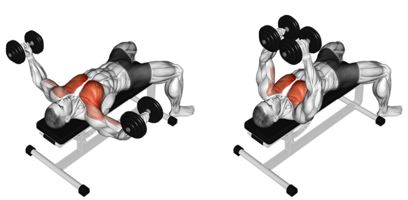 Bài tập bài tập Dumbbell Chest Fly