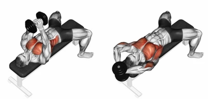 Bài tập Dumbbell Pullover