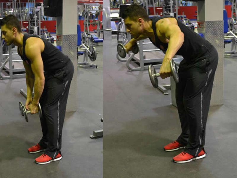 Các bài tập cầu vai tại nhà hiệu quả nhất dành cho dân tập Gym 8 Bài tập cho vai sau (Dumbbell Rear Lateral Raise)