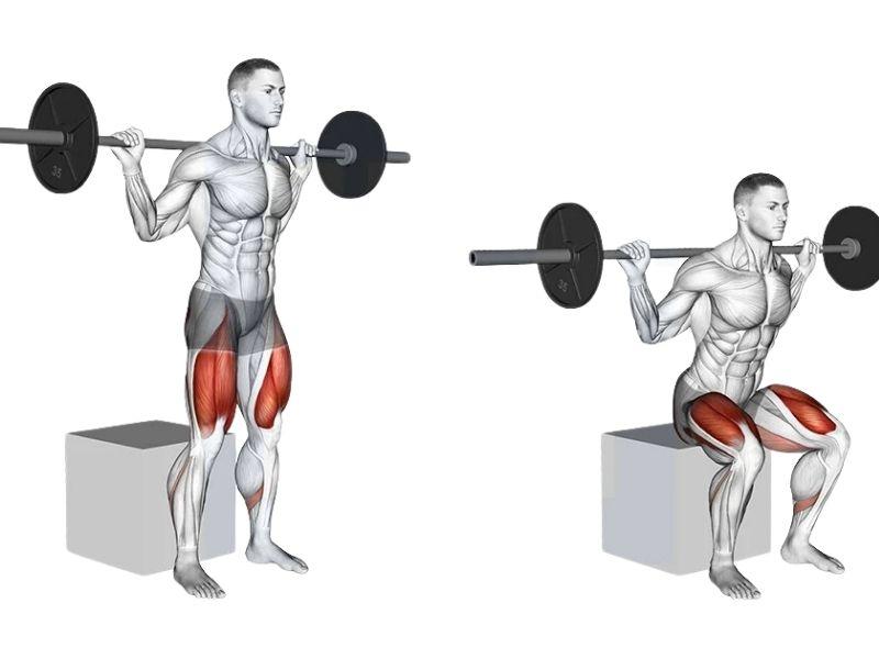 Bài tập Box squat
