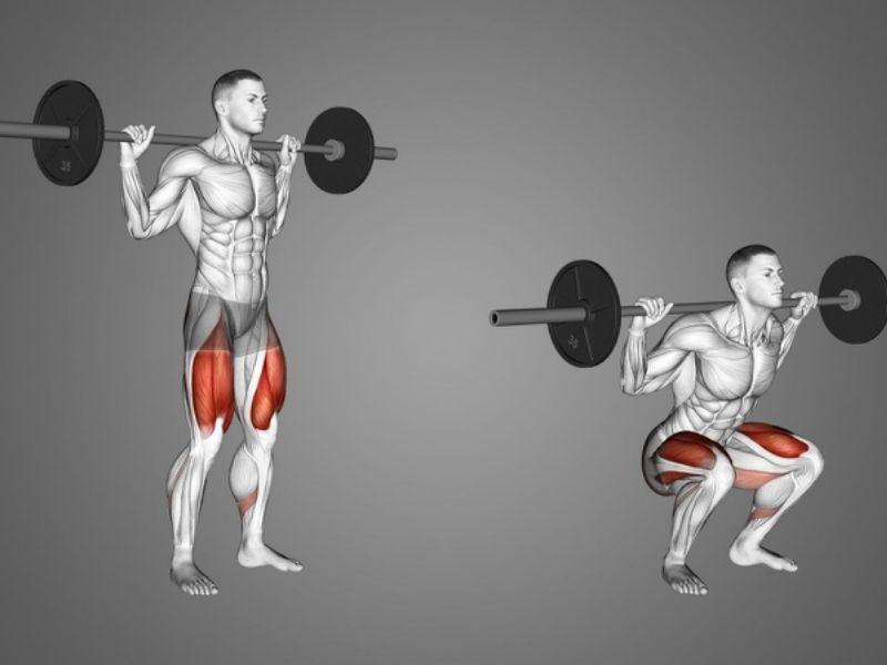 Bài tập squat gánh tạ đòn