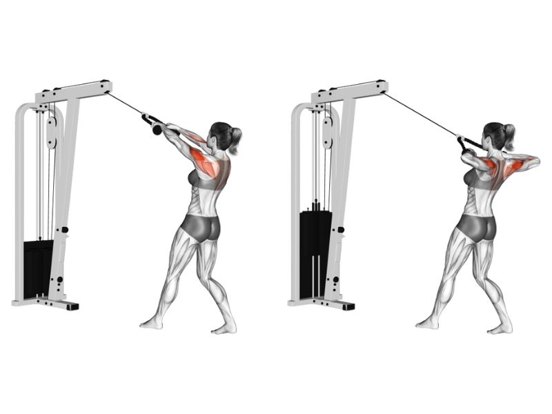 Bài tập ngồi kéo cáp giúp phát triển xô và lưng hiệu quả tốt Nhất 4 Bài tập đứng kéo cáp tập trung phát triển cơ vai sau