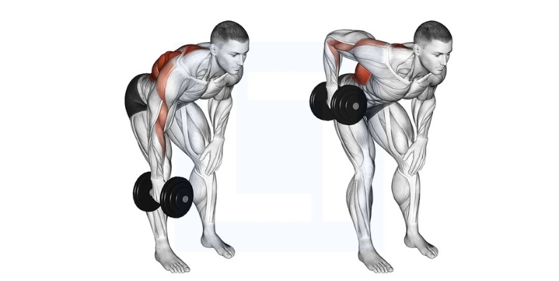 Bài tập Single Arm Bent Over Rows Các bài tập vai sau tại nhà giúp sở hữu đôi vai vạm vỡ cho nam
