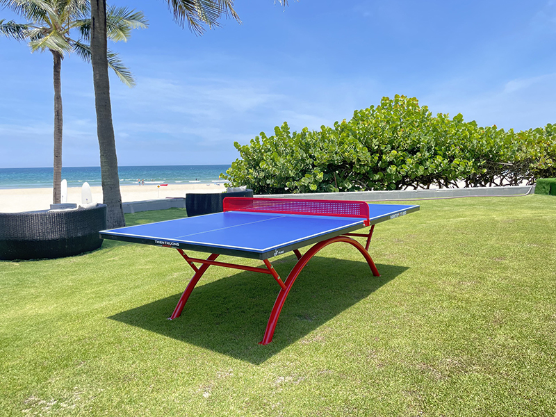 Bàn bóng bàn Thiên Trường TT002