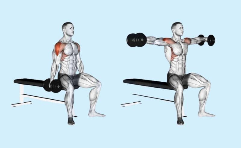 Bài tập Seated Lateral Raise - một biến thể của Dumbbell Lateral Raise