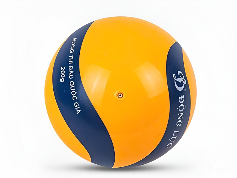 Bóng chuyền hơi hoa xoáy DL200