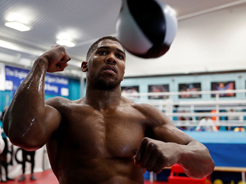 Bóng phản xạ boxing là gì