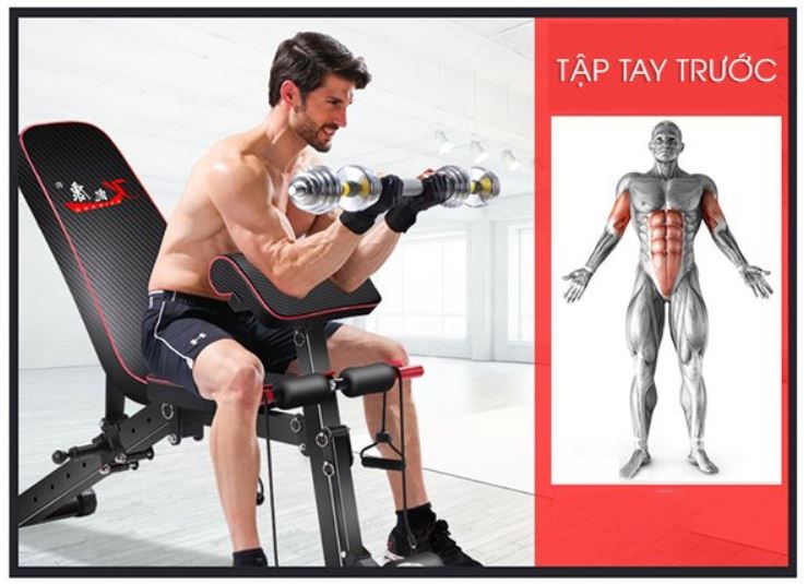 Bài tập ngồi nâng tạ đơn với ghế tạ đa năng