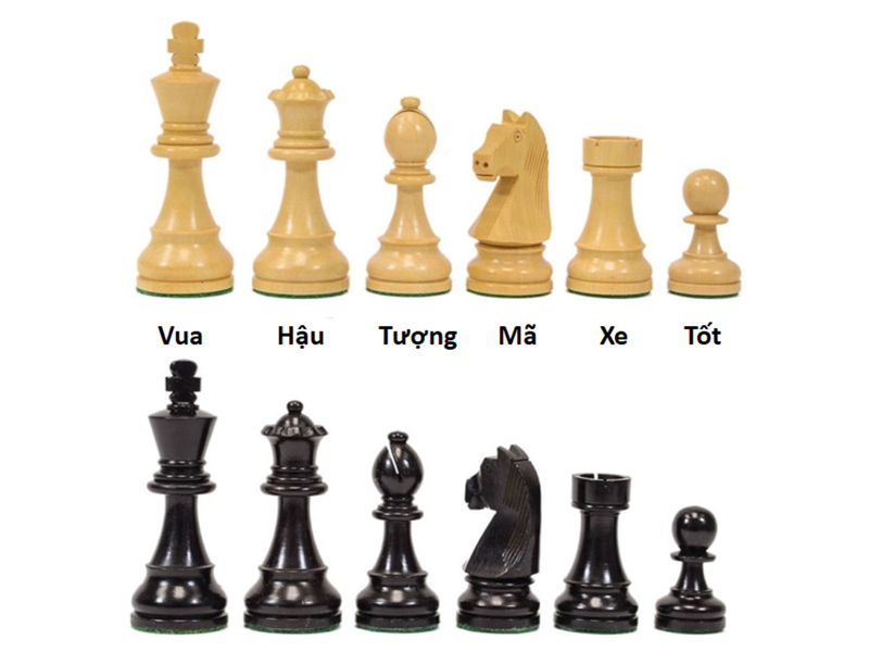các quân cờ vua